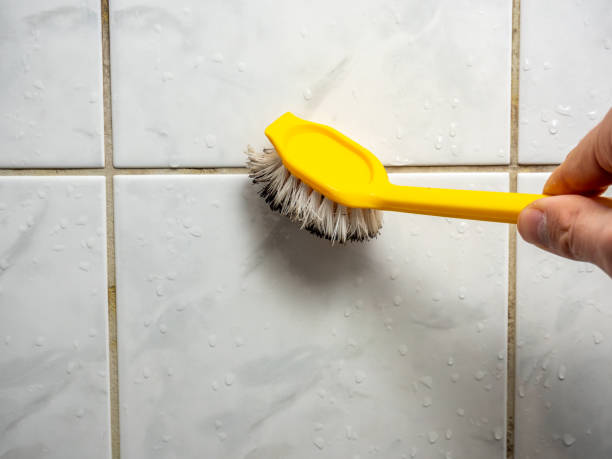 Best Mold Testing and Inspection Services in Wauconda, IL