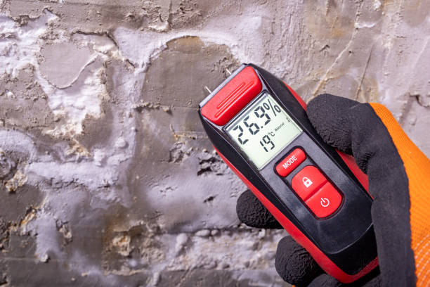 Best Preventive Mold Services in Wauconda, IL